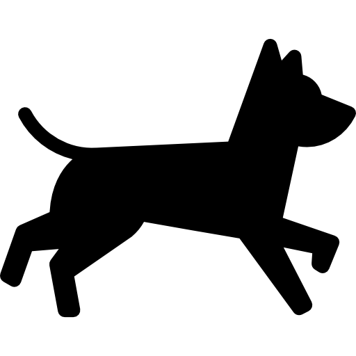Stride Comparison